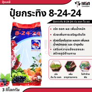 ปุ๋ย 8 24 24 ปุ๋ยเคมี ตรา กระทิงลูกโลก สูตร เร่งดอก เร่งผล ปุ๋ยเร่งดอก ปุ๋ยเร่งผล ปุ๋ยทำดอก ปุ๋ยไม้ด