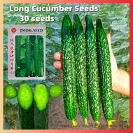 30 Seeds Fresh Japan Cucumber Seeds Benih Timun Jepun 日本黄瓜种子 Long Cucumber Seeds for Pot Planting Vegetables High Yield Green Cucumber Vegetable Seeds for Gardening Cucumber Live Plants Real Plants Bonsai Seeds Timun Jepun Biji Benih Sayur Sayuran