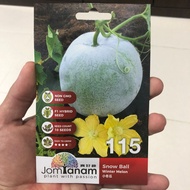 Benih Kundur/Winter Melon JomTanam 115 (10 biji)