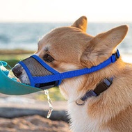Dog anti bite barking and eating masks. Medium sized dog mouth cover pet supplies Dog Muzzles