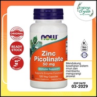 Vitamin Mineral Zinc Picolinate 50 Mg Now 120 Veggie Kapsul