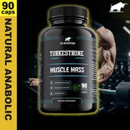 Turkesterone Ecdyturk | 60/120caps | Ajuga Turkestanica Ox Nutrition