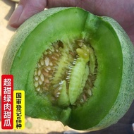 ♞Melon Japan Emerald Sweet Treasure Super Sweet Rock Candy Fruit Croissant Honey Crisp Melon Spring, Summer And Autumn F