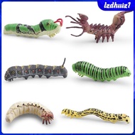 [Lzdhuiz1] 6 3D Simulation Larvae Models, Educational Model Decor, Miniature Layout, Caterpillar Toy