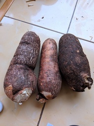 singkong racun /sapi kuru 1kg