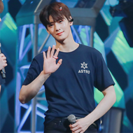 Kaos Idol Kpop Astro Cha Eun Woo