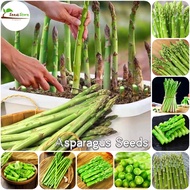 50pcs Asparagus Seeds ​Vegetable Plants for Sale Microgreens Seeds Live House Plants Indoor Seeds fo
