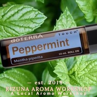 可使用消費券 父親節 禮物 doTERRA 多特瑞 呵護系列 - 薄荷精油  peppermint oil 清涼 鎮靜 按摩 提神 醒腦 幫助 減緩 緊張感 提振心情