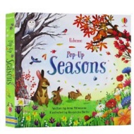 Kidnedu USBORNE POP UP 3D  BOOKS