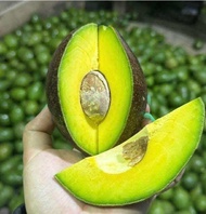 อโวคาโด (ขนาด 1 กิโลกรัม) เก็บสดจากสวนบนดอย พันธ์ุ034 บาเยือง พื้นเมือง บูส7