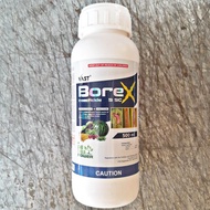 BOREX 5 SC (500mL) FIPRONIL INSECTICIDE by VAST
