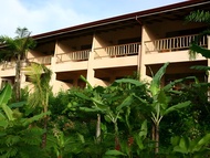 羅斯特伊古安娜度假酒店和Spa (Lost Iguana Resort and Spa)