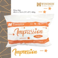 Windsir Impression 100% Hollow Polyester Fiber Pillow