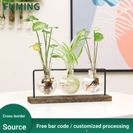Nordic ins Iron Art Hydroponic Plant Vase Iron Frame Simple Fresh Green Dill Flower Vessel Home Desk