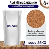 Red Millet มิลเล็ตแดง อาหารนก กระต่าย หนู กระต่าย กระรอก ชูก้า และสัตว์ฟันแทะ (กระสอบ 25KG)