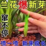 【有機肥】【花肥】專用爆芽劑】蘭花專用營養液 爛根空根莖生根催芽催花液體肥 免稀釋