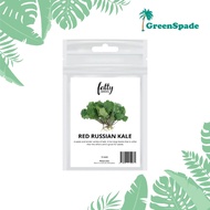 Fatty Seeds Red Russian Kale