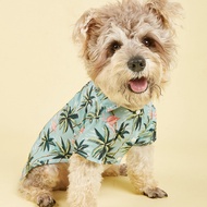 Weiyi style cute summer T-shirt comfortable pet shirt pet clothes