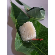 TAPAI PULUT DAUN GETAH (30PCS)