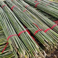 Climbing Kindergarten Vegetable Rack Bamboo Pole Bamboo Board Tomato Rack Slim Pole Rack Bamboo Trel