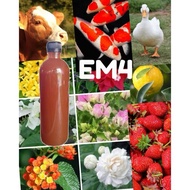 [500 ml] EM4/EM Pertanian, Perikanan & Ternakan/Bakteria Baik/Penghilang Bau Busuk