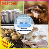 Mycology Mushroom Grow Kit Mushroom Growing Kit Mycology Fume Hood Propagation Station for Mushroom 