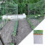 1pc 4ft*8ft/5ft*15ft Plant Climbing Netting, Supporting Climbing Plants And Resisting Harsh Weather