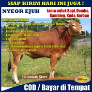 NYEOR EJUH 500 Gram - Obat Penggemuk Sapi Tradisional Alami - Obat Penggemuk Sapi Paling Cepat Terba