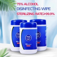 75% Alcohol Classic Wipes 100sheet Disinfectant Wipes Instant Hand Sanitizing Kills 99.9% Bacteria A