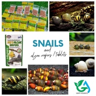 Algae Wafer / Sinking Wafer - Feed for Nerite, Apple, Assasin, Amano Shrimp