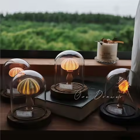 Marine and Island Retro Shell, Sea Urchin, Conch Lamp, Night Light Decoration, Mid-Autumn Festival G