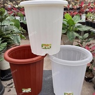 ORIGINAL 25cm yogap flower Pot