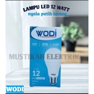 12 WATT LED LIGHT BRIGHT WHITE LIGHT WODI