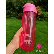 H2go 750ml tupperware