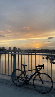 Trek Domane 5.9 Di2 50size 電變Ultegra  好新淨
