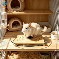 [Dovewill] Hamster Running Wheel Glass 28 Cm Smooth Quiet Spin Wood Base Stable Non Slip Exercise To