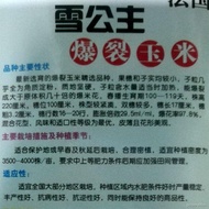 △►✧爆米花玉米种子爆裂玉米粒种籽高产早熟爆米花专用南北方大田种植