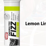 Hammer Endurolytes Fizz Effervescent Salt Tablets 13 Hammer Nutrition Electrolyte Supplement Tablets
