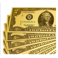 Combo of 10 collectible 100 USD gold-plated plastic bills