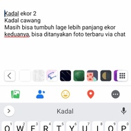 kadal cawang 2 ekor 2 cabang 2