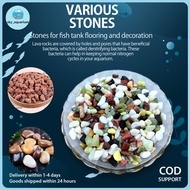 Aquarium Assorted Mindoro Pebbles River Stone lava rock stone Aquarium Stone