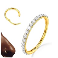 G23 Titanium Nose Ring Hoop Cartilage Earring Hoop Clicker CZ Septum Rings Conch Piercing Jewelry Tr