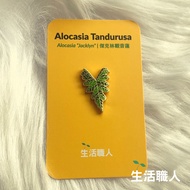 Alocasia Jacklyn Enamel Pin