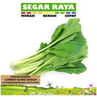 Sayur Cameron Sawi / Vegetable Choy Sum (300g+-)  Segar Raya