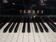 三角琴 Yamaha G2