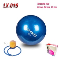 Gym Ball Gymball Fitness Gymnastics Ball Yoga Ball + Pump 55cm Lx019-1