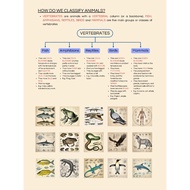 Cambridge IGCSE Biology 0610 NOTES
