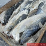 【海鮮7-11】薄鹽鯖魚片 40-45  6公斤/箱  ♢含有豐富OMEGA-3、DHA及優良蛋白質**單箱650元**