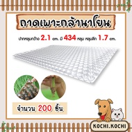 ถาดเพาะกล้านาโยน 434 หลุม แพ็ค 1-700 ชิ้น ถาดเพาะนาโยน เพาะกล้าข้าว ถาดนาโยน ถาดเพาะกล้า ถาดเพาะต้น