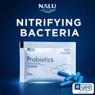 YEE Nitrifying Bacteria Probiotics Bakteria Baik Aquarium Ammonia Remover Clear Water 硝化菌 5pcs NALU